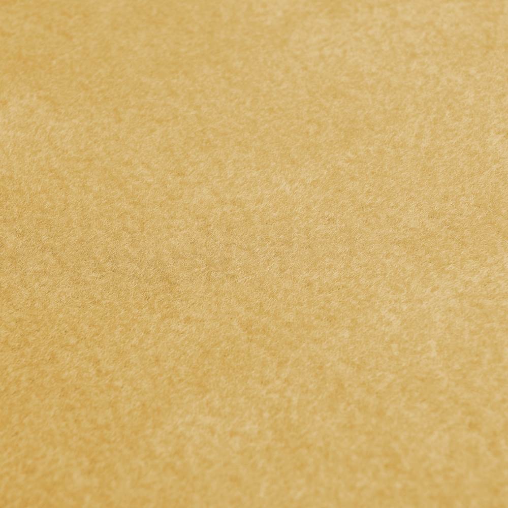Polarfleece Microfleece – beige