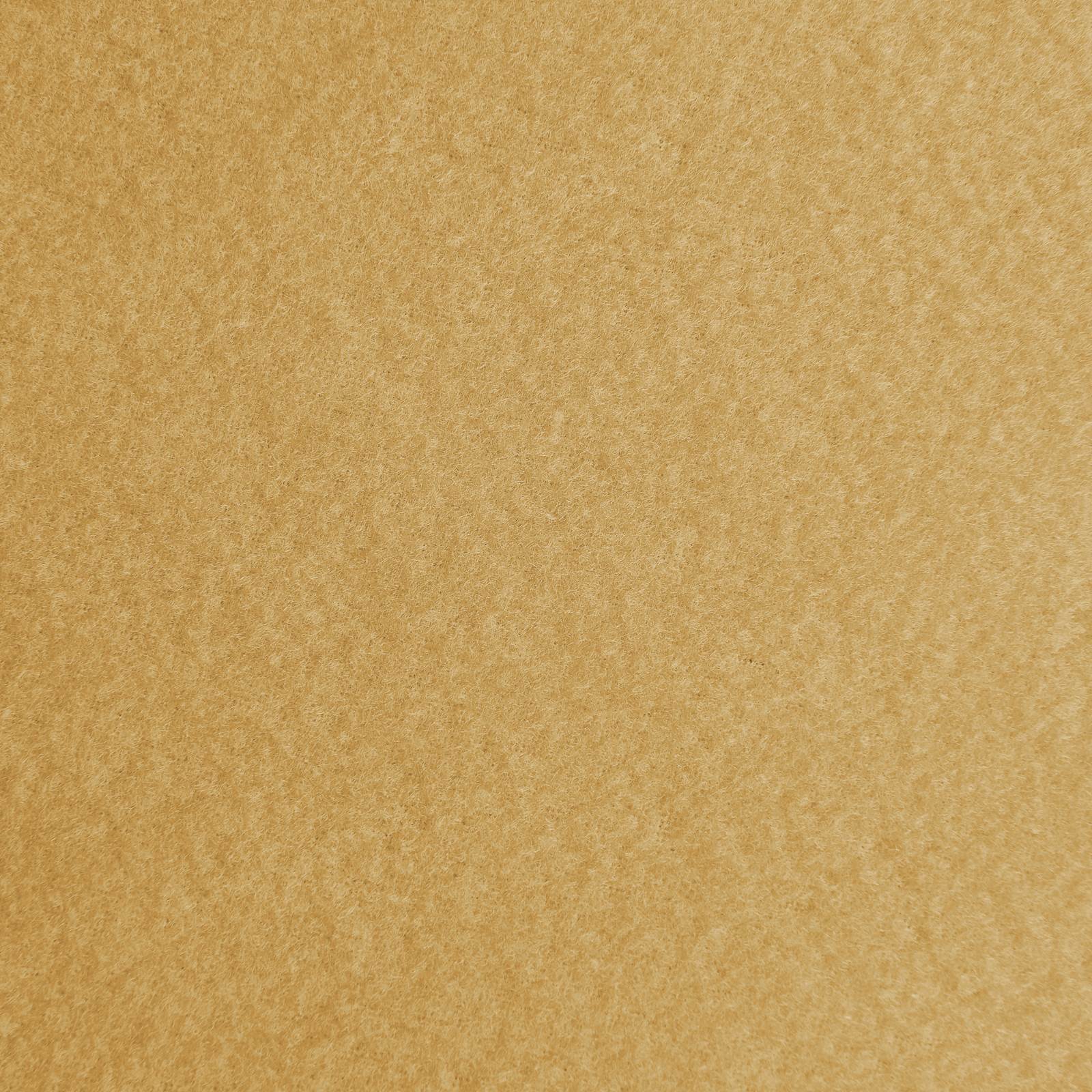 Thermo Polaire (beige)