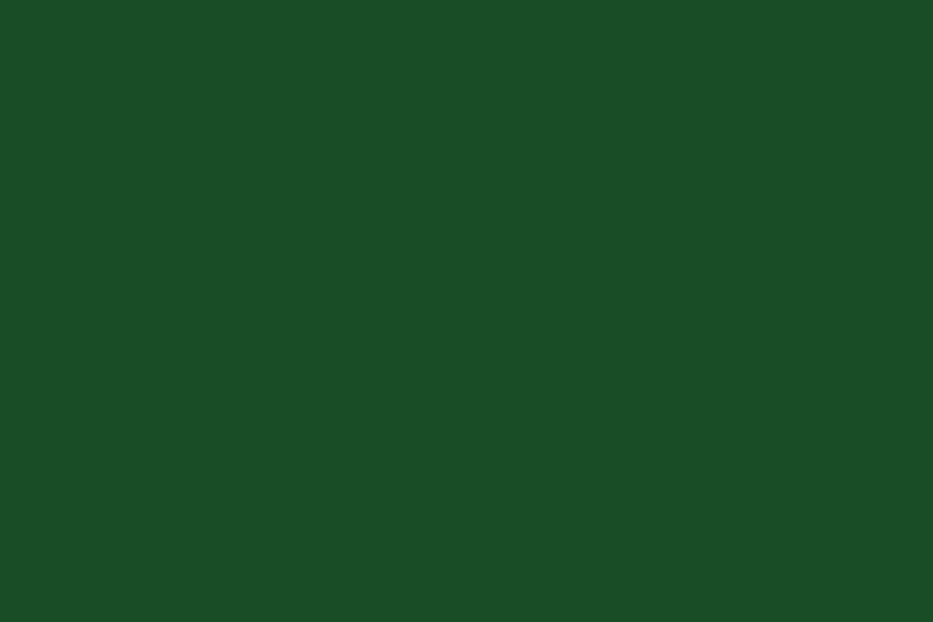 Sytråd 100s - Grøn